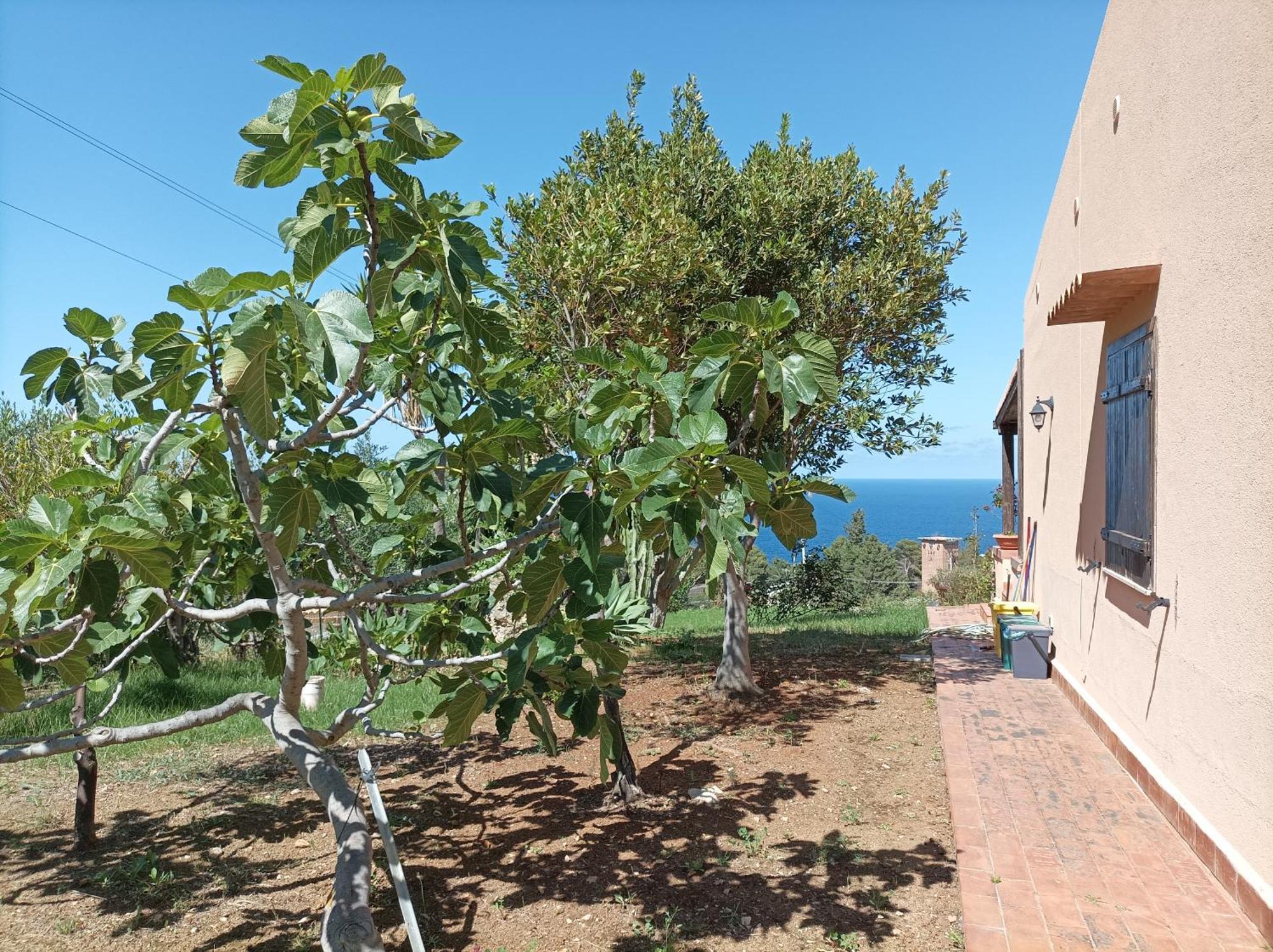 La Terrazza Su Pispisa Castellammare del Golfo Exterior foto